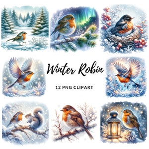 Winter Robin Clipart - 12 High Quality Pngs, Memory Book, Junk Journals ...