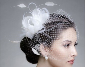 Feather Hair Fascinator Birdcage Veil, Bridal Shower Headpiece, Head Bow Minimalist Wedding Fascinator with Veil