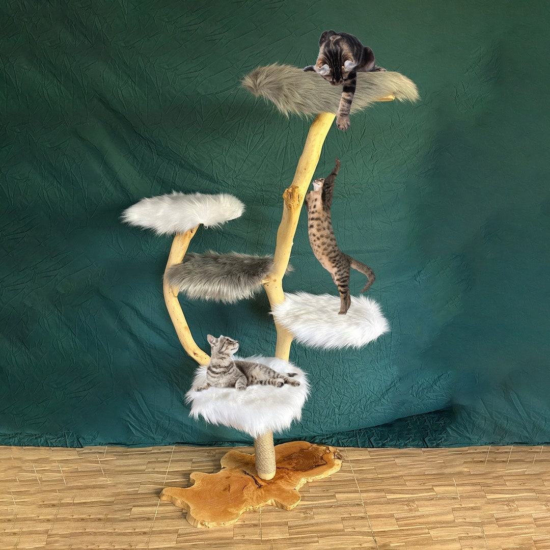 Driftwood Cat Tree Tower for Large Cats Natural Wood Cat Etsy