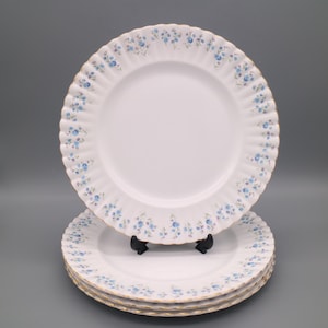 Peut inclure: Quatre assiettes en porcelaine blanche avec un motif floral bleu délicat sur le bord. Les assiettes ont un bord festonné et une bordure dorée. Les assiettes sont empilées sur un présentoir noir.