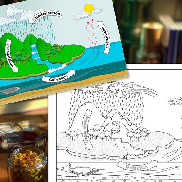 Water Cycle Coloring Page, Study for children, homeschooling, kids coloring pages, print only