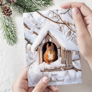 Cartolina di Buon Natale stampabile digitale Scoiattolo nella casa sull'albero