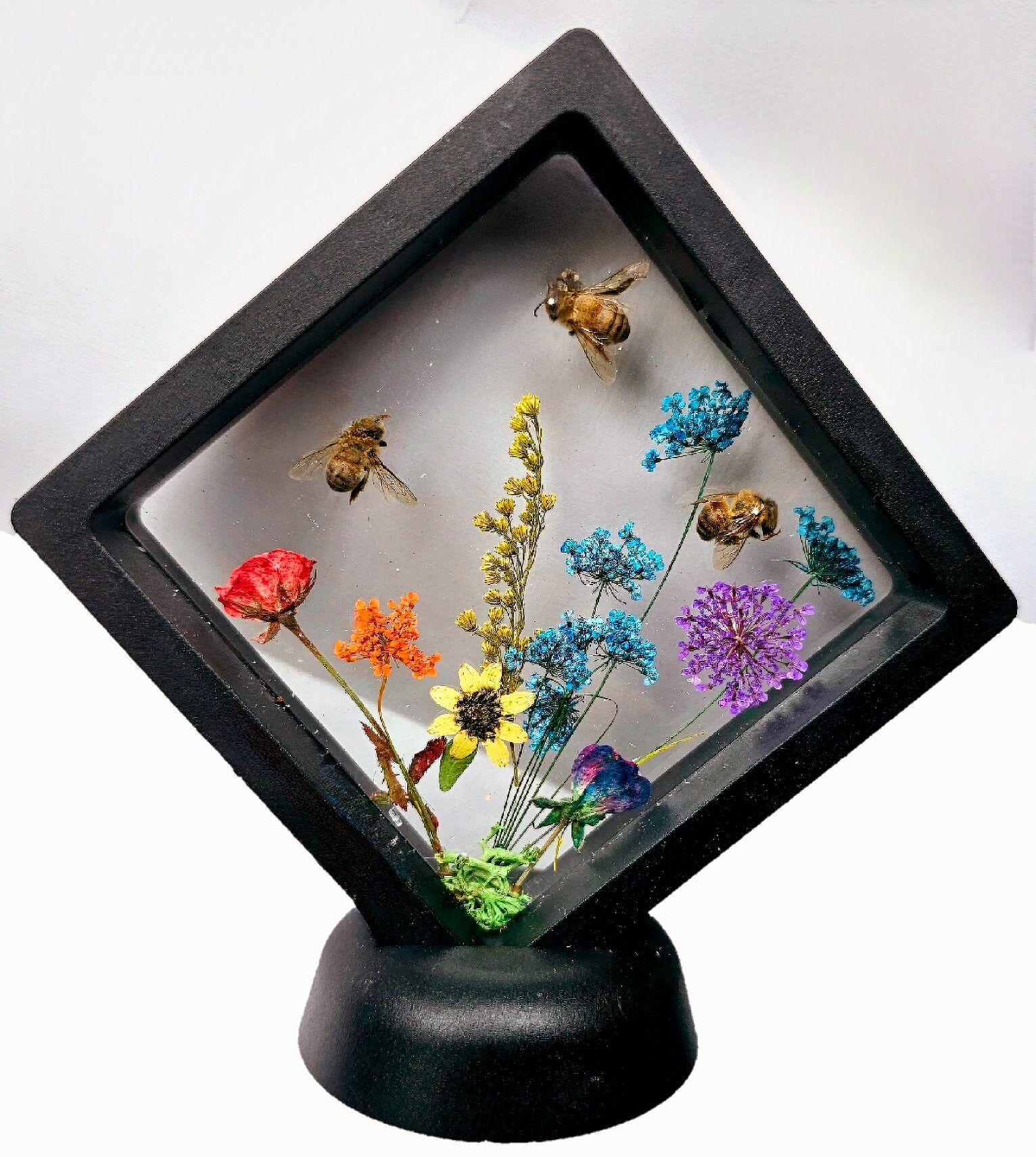 Preserved Bees With Rainbow Florals - Etsy