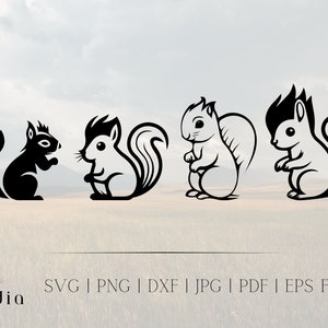Squirrels | SVG Digital Download | SVG files for Cricut l Squirrels Design silhouettes SVGl Squirrels bundles SVG
