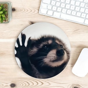 May include: A black and white raccoon with a curious expression, looking directly at the camera, with its paw raised in a wave. The raccoon is on a white background.