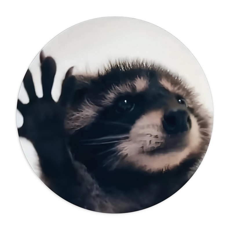 Pedro Racoon Icon Pedro Pedro Dancing Raccoon Mousepad,funny Raccoon Meme,pedro Racoon ...