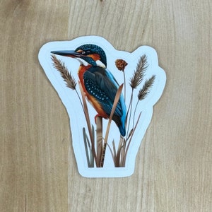 2.75 Inch tall Kingfisher kiss cut sticker, waterproof vinyl sticker