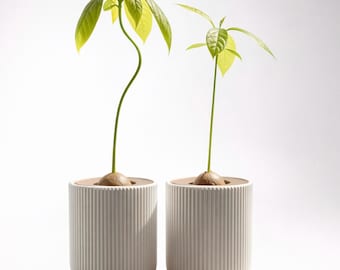 2er-Set Avocado-Töpfe aus PLA – Einfache Keimung und nachhaltiges Design