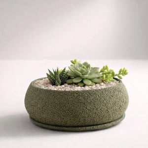 Può includere: Un vaso rotondo in ceramica verde oliva strutturato, riempito con piccole piante grasse e ciottoli bianchi. Il vaso ha un sottovaso abbinato. Le piante grasse sono di varie tonalità di verde, su sfondo bianco.