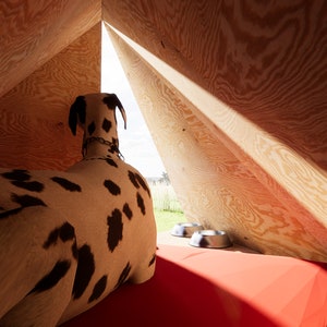 ARCHITECTUUR｜Eco-vriendelijke moderne hond - kattenhuis - doe-het-zelf-bouwplannen