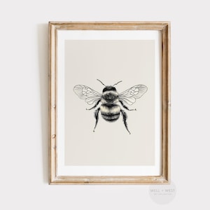 Bumblebee Sketch Print | Vintage Insect Wall Art | Printable Antique Bee Drawing | Neutral Minimalist Wall Decor | Nursery Art | P516