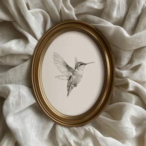 May include: A gold-framed oval print displaying a pencil sketch of a hummingbird in mid-flight. The bird's wings are extended, revealing fine feather detail. The artwork is set against a cream-coloured backdrop, within a gold frame.