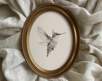 Dibujo de colibrí para pared / Lámina vintage para guardería / Ilustración de pájaro antiguo / Decoración minimalista neutra para pared imprimible / P123