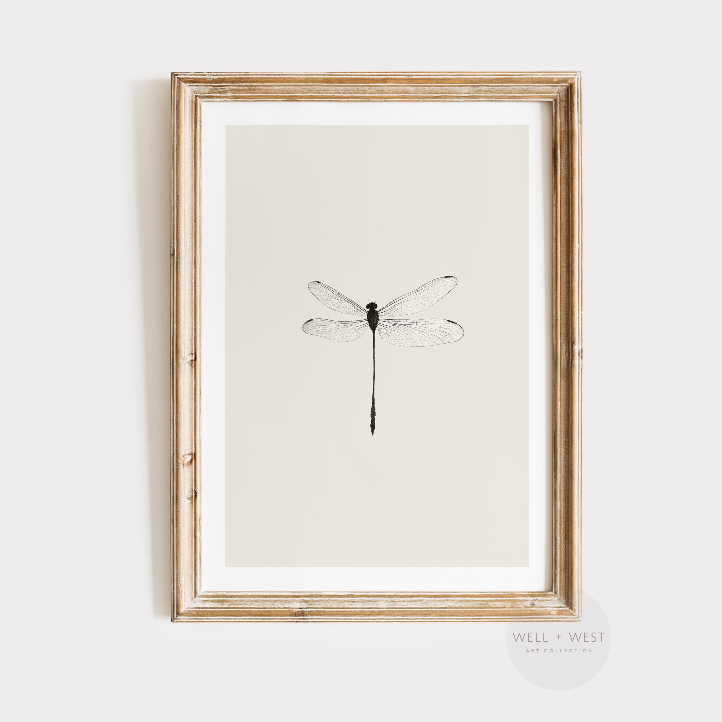 Dragonfly Sketch Print | Vintage Insect Wall Art | Printable Antique ...