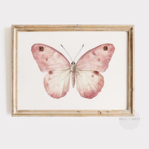 Butterfly Print | Pastel Watercolor Butterfly Painting | Soft Pink Coquette Artwork | Antique Insect Art | Girls Room Nursery Decor | P608