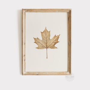 Fall Leaf Print | Vintage Style Maple Leaf Painting | Neutral Thanksgiving Decor | Rustic Autumn Minimalist Farmhouse | Printable Art | P264