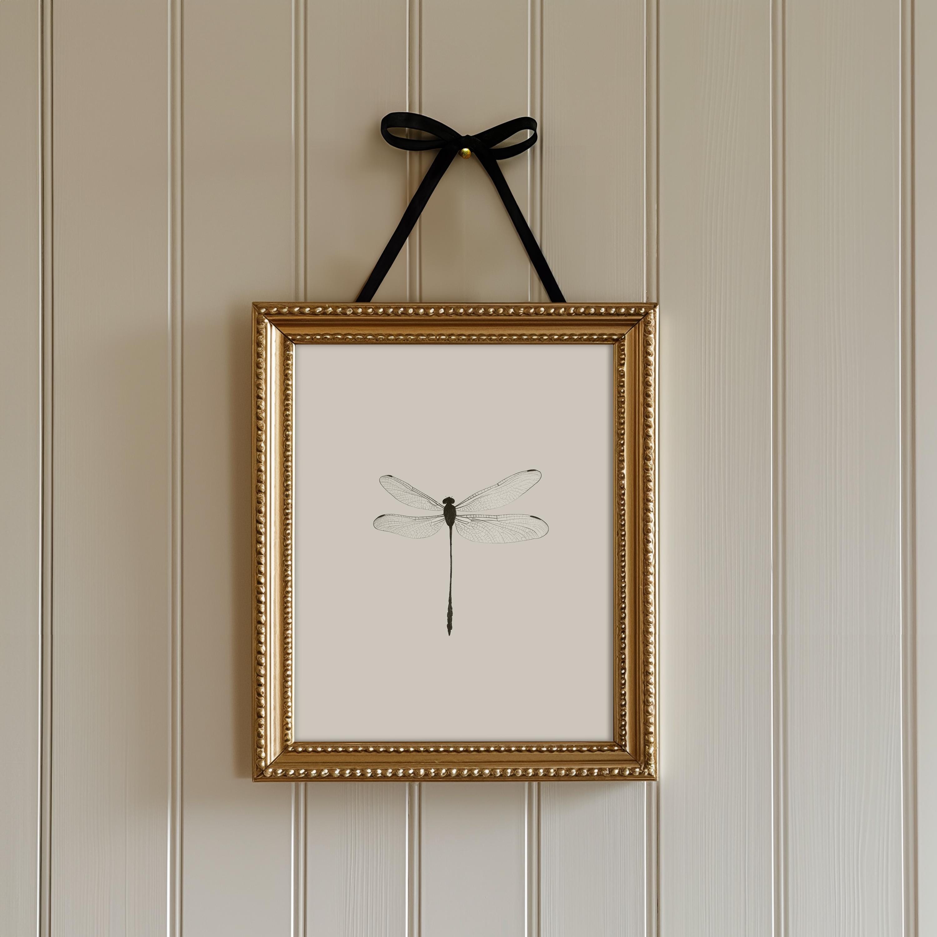 Dragonfly Sketch Print | Vintage Insect Wall Art | Printable Antique ...