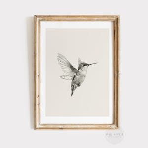 Hummingbird Sketch Wall Art | Vintage Bird Nursery Print | Antique Bird Illustration | Neutral Minimalist Wall Decor Printable | P123