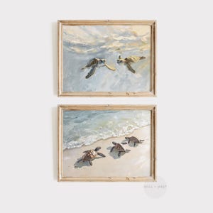Op de afbeelding: Twee ingelijste schilderijen van zeeschildpadden die in de oceaan zwemmen. Het bovenste schilderij toont twee schildpadden die in het water zwemmen, terwijl het onderste schilderij drie schildpadden toont die in de buurt van de kust zwemmen.