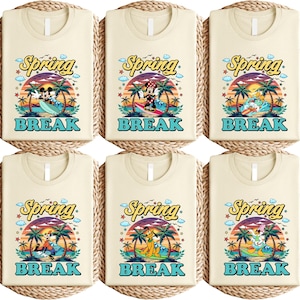 Disney Mickey & Friends Spring Break Shirt, Disney Summer Vacation 2025 Tee, Matching Spring Break Family Shirt