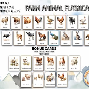 Farm Animals Editable Toy Flashcards, Education Learning Material, Montessori Printable Cards, Homeschool Toddler Preschool Activity Book