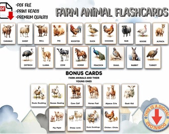 Farm Animals Editable Toy Flashcards, Education Learning Material, Montessori Printable Cards, Homeschool Toddler Preschool Activity Book