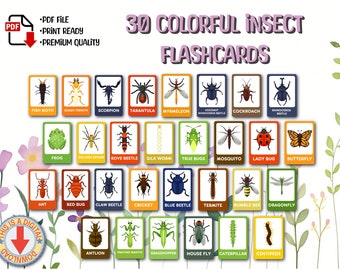 Bugs Insects Educational Montessori Flashcards, Preschool Toddler Activity Cards, Teaching Homeschool Materials, Learning Printable