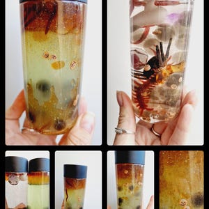 May include: Four clear plastic bottles filled with a variety of objects, including glitter, small plastic pumpkins, and black and white beads. The bottles are topped with black lids.