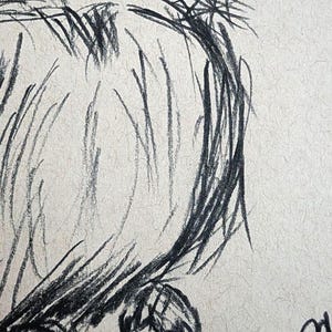 May include: A detailed charcoal sketch of an owl. The artwork features the owl's intense gaze, with visible eyes and sharp talons. The drawing style emphasizes texture and shadow, creating a dramatic effect on the textured paper.