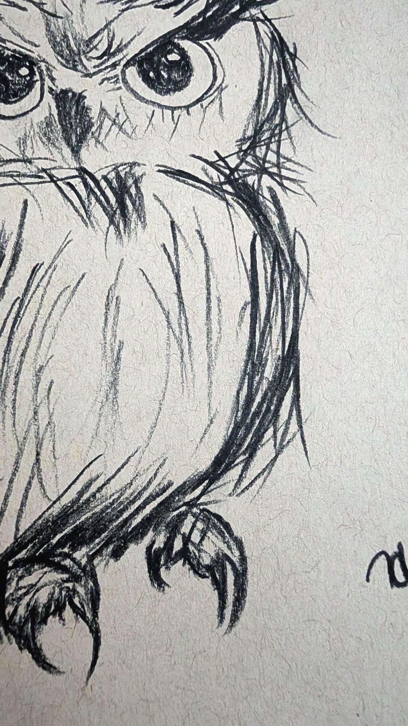 May include: A detailed charcoal sketch of an owl. The artwork features the owl's intense gaze, with visible eyes and sharp talons. The drawing style emphasizes texture and shadow, creating a dramatic effect on the textured paper.