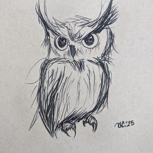 May include: A pencil sketch of an owl with large, expressive eyes and feathery details. The owl is drawn in a stylized manner, with a focus on its face and chest. The drawing is signed "DC:25".