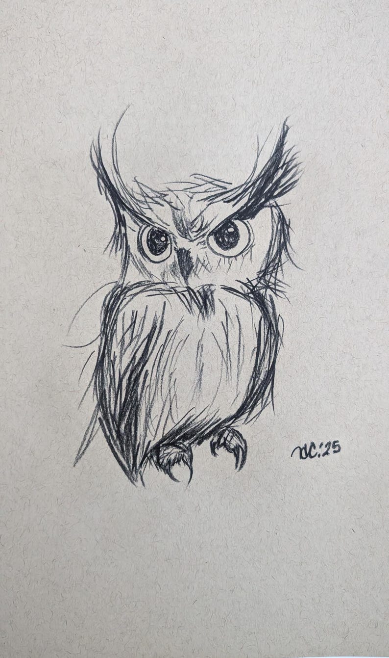 May include: A pencil sketch of an owl with large, expressive eyes and feathery details. The owl is drawn in a stylized manner, with a focus on its face and chest. The drawing is signed "DC:25".