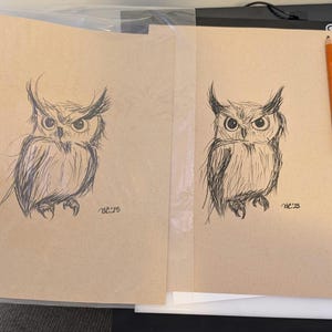 Original Charcoal Drawing, NOT A PRINT, Owl Art, Bird drawing, Woodland animals, Whimsical Illustration, Nursery Wall Art, Unframed Art image 4