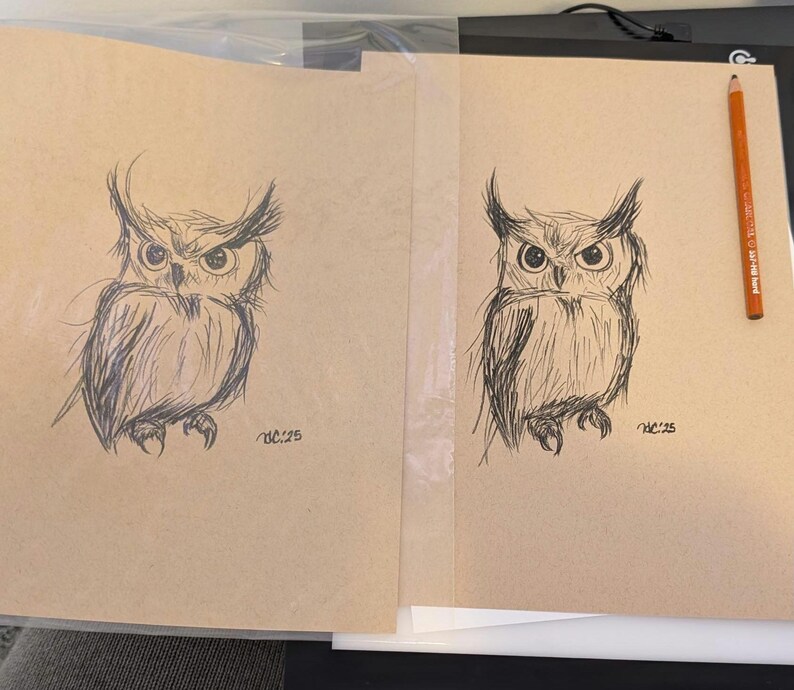 Original Charcoal Drawing, NOT A PRINT, Owl Art, Bird drawing, Woodland animals, Whimsical Illustration, Nursery Wall Art, Unframed Art image 4