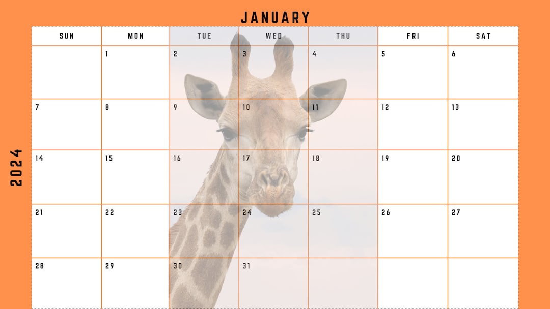 2024 Wild Animals Calendar Etsy
