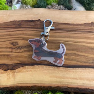 Porte-clés en acrylique pour chien Teckel | Art Kawaii de dessin animé de race de chiot | Cadeau commémoratif Chibi pour amoureux des animaux | Fait main
