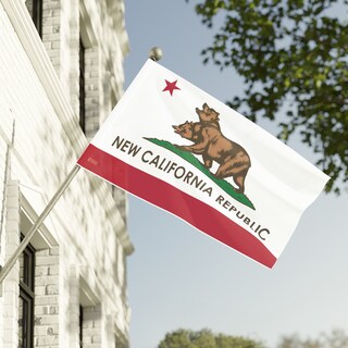 Bandiera California 3x5 Piedi Con Orso, Per Esterni, In Poliestere - Nuova