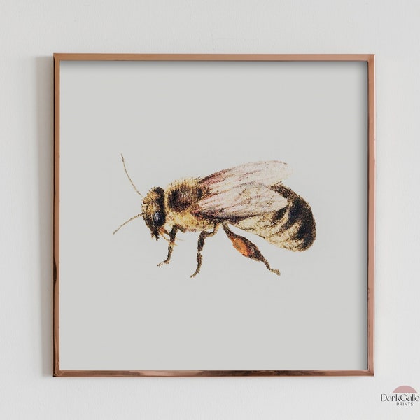 Vintage Bee Painting Digital Print | Rustic Home Decor | Insect Art | Nature Wall Art | Bee Art Print