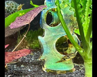 SymbioticGlass - Etsy