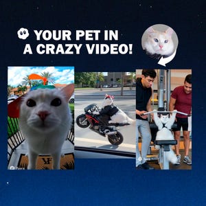 Custom AI Pet Video from Photo – Personalized Pet Animation, Unique Pet Gift, Digital Download