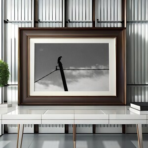 Bird of Prey, Perched Kite, Black and White Photography, Printable Wall Decor, Minimalist Black and White, Home Decor