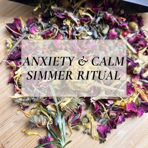 Anxiety & Calming Simmer Pot Blend | Stress Relief Ritual | Relaxation and Grounding | Witchy Home Fragrance