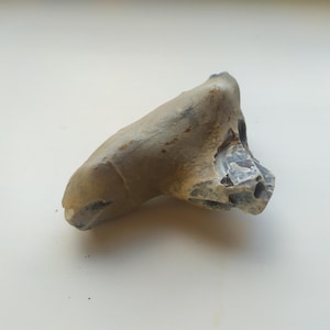 以下が含まれることがあります： 風化した、薄茶色の石器。表面はざらざらしており、先端は尖っている。一部はより暗く、結晶質の外観をしている。この形状から、切断や削るために使用された可能性がある。