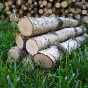 Natural Baltic Birch Logs and Sticks for Fireplace Decor and Crafts