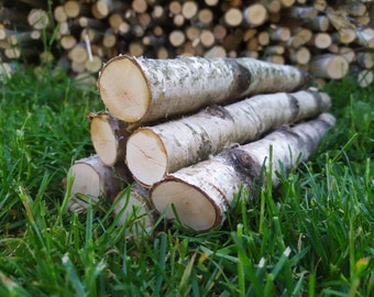 Natural Baltic Birch Logs and Sticks for Fireplace Decor and Crafts