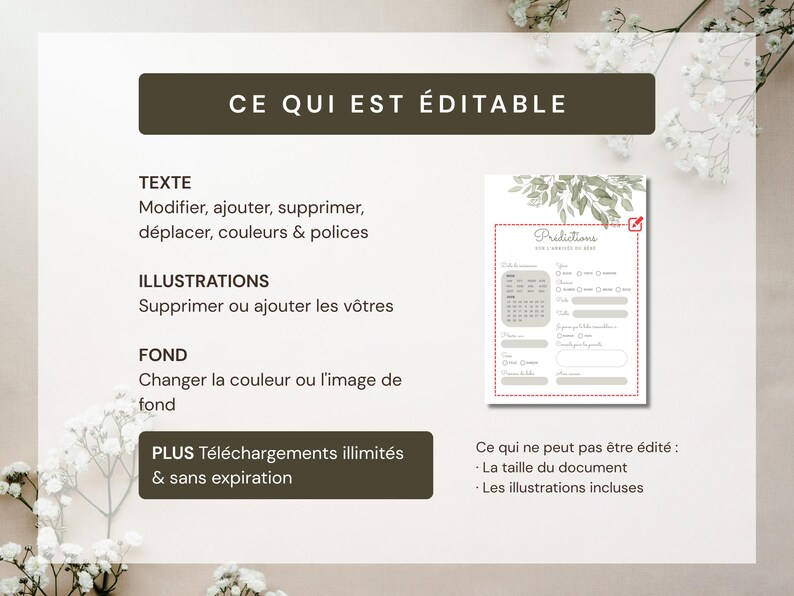 Pu&ograve; includere: Una guida al modello digitale intitolata CE QUI EST &Eacute;DITABLE, che descrive le opzioni di personalizzazione per testo, illustrazioni e sfondo. Include un'anteprima di una scheda di previsioni con motivi floreali ed elementi non modificabili.
