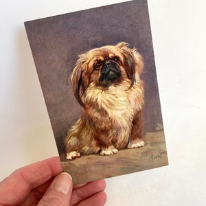 Vintage J. Rivst PEKINGESE Postcard |Vintage Unused Pekingese Postcard | 1930s Artist Signed 5-1/4” x 3/1/2” No. 91 Dog Postcard