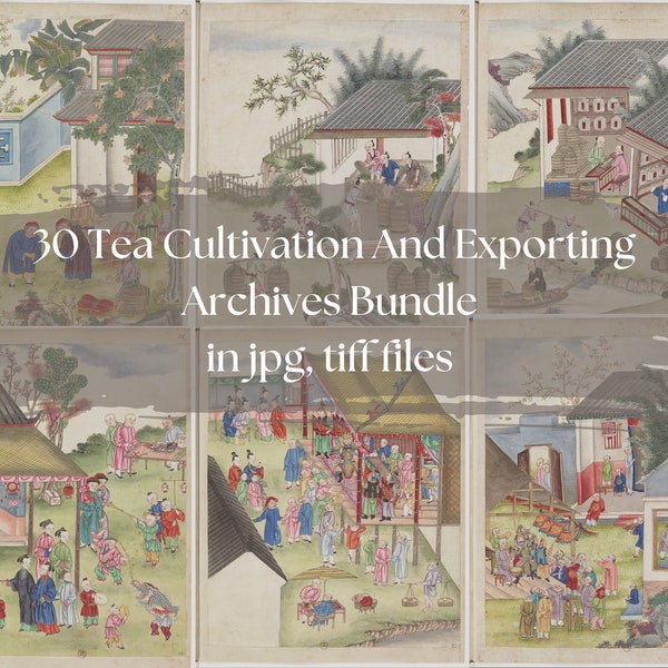 30 Tea Cultivation and Exporting Archive Bundle|Ancient China Archive|Chinese Illustration|Qing Dynasty|Ancient China Artwork|China Vintage