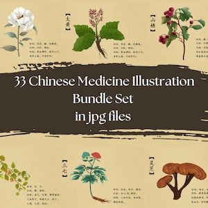 33 Chinese Medicine Illustration Bundle|Herbal Medicine Png|Chinese Medicine Poster|Chinese Medicine Commercial Use|Chinese Medicine Art|TCM