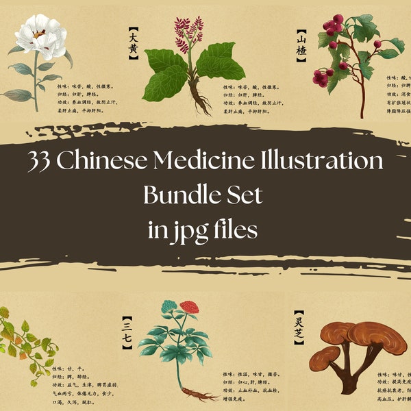 33 Chinese Medicine Illustration Bundle|Herbal Medicine Png|Chinese Medicine Poster|Chinese Medicine Commercial Use|Chinese Medicine Art|TCM